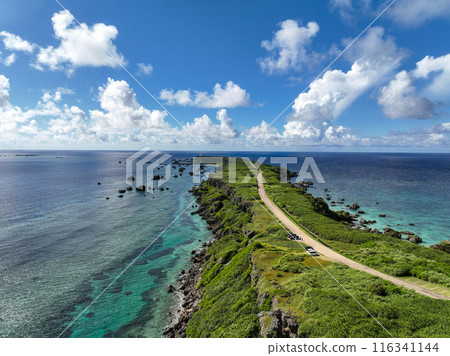 沖繩縣宮古島的風景優美的駕車勝地東平安名崎 116341144