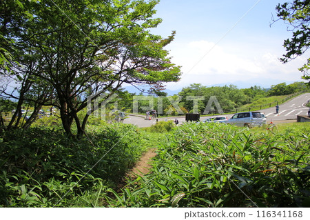 霧降高原及週邊風景 116341168