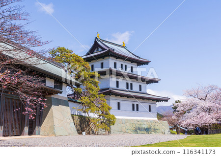 Top 100 Cherry Blossom Spots in Japan: Matsumae Park, Hokkaido 116341173