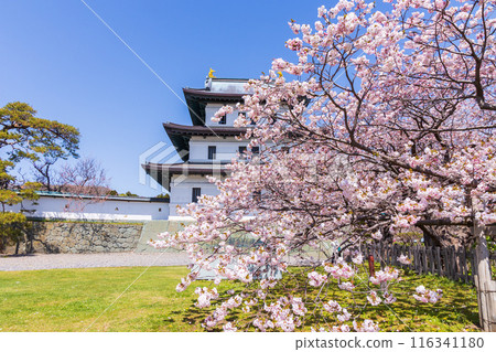 Top 100 Cherry Blossom Spots in Japan: Matsumae Park, Hokkaido 116341180