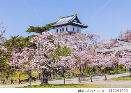 Top 100 Cherry Blossom Spots in Japan: Matsumae Park, Hokkaido 116341433