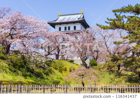 Top 100 Cherry Blossom Spots in Japan: Matsumae Park, Hokkaido Top 100 Cherry Blossom Spots in Japan: Matsumae Park, Hokkaido 116341437