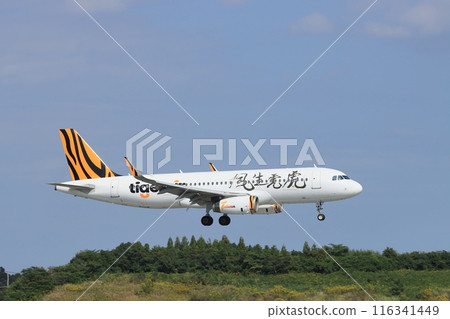 客機降落在成田機場 LCC 廉價航空公司 116341449