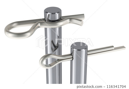 Clevis Pins with Cotter Pin and R Type Cotter Pin. 3D rendering 116341704