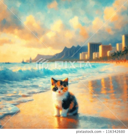 熱帶海灘小貓 熱帶海灘小貓 116342680