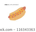 Hand-drawn hot dog illustration 116343363