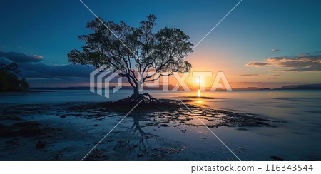 A silhouette of a tree on an island beach sunset landscape. Golden hour evening sky in the horizon. Mindfulness, meditation, calmness, serenity, relaxation concept background 116343544