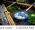 在鐵水屋漂浮的櫻花花瓣 116343784