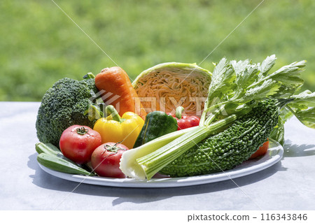 五顏六色的蔬菜蔬菜集 116343846