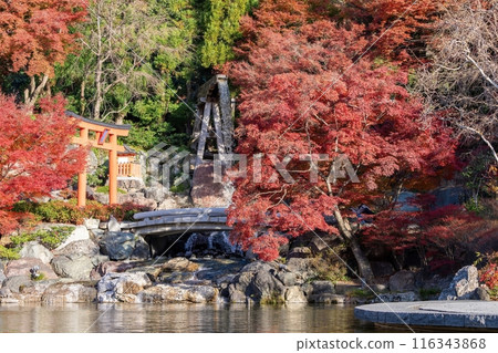 A beautiful scene of colorful autumn leaves, a waterfall, and a torii gate. 116343868