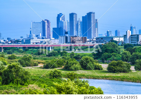 Tokyo cityscape in July. View of Tama River surrounded by greenery and the high-rise apartment complex in front of Musashi-Kosugi Station (July 3rd) 116343955