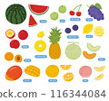 Cute summer fruit illustration set 116344084