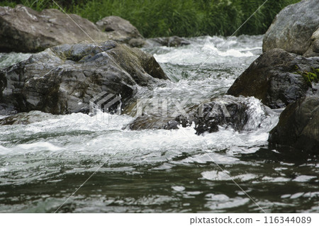The clear waters of the Tama River (Okutama) 116344089