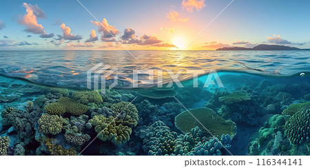 Great Barrier Reef on the coast of Queensland, Australia seascape. Coral marine ecosystem underwater split view, golden hour sunset evening sky wallpaper background 116344141