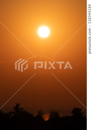 Golden Sunrise Over the Horizon 116344184