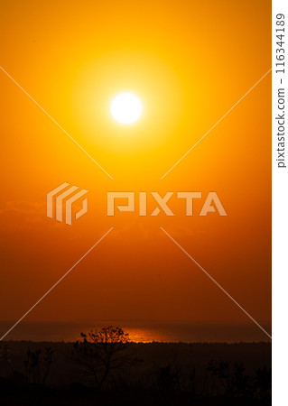 Golden Sunrise Over the Horizon 116344189