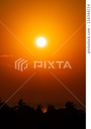 Golden Sunrise Over the Horizon Golden Sunrise Over the Horizon 116344214