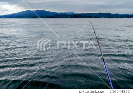 Octopus fishing is in season now Octopus fishing is in season now 116344852