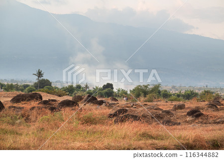 Rocky grassland landscape with mountains covered in fog in the background Rocky grassland landscape with mountains covered in fog in the background 116344882
