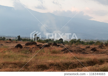 Rocky grassland landscape with mountains covered in fog in the background Rocky grassland landscape with mountains covered in fog in the background 116344883