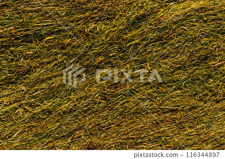 Texture of cut tobacco leaves, High quality dried cut tobacco leaves Texture of cut tobacco leaves, High quality dried cut tobacco leaves 116344897