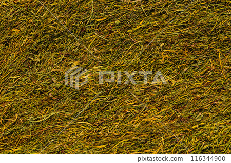 Texture of cut tobacco leaves, High quality dried cut tobacco leaves 116344900