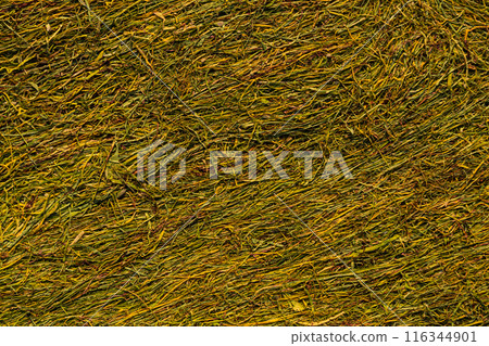 Texture of cut tobacco leaves, High quality dried cut tobacco leaves 116344901