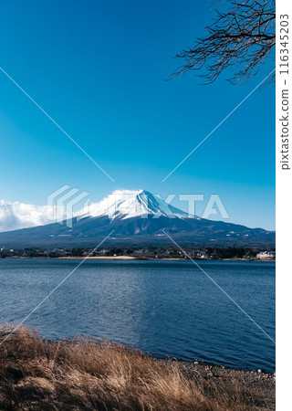 Mount Fuji  116345203