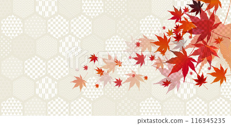 Japanese pattern autumn pattern background 116345235