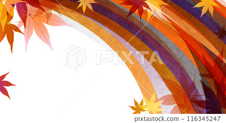 Autumn leaves autumn background Autumn leaves autumn background 116345247