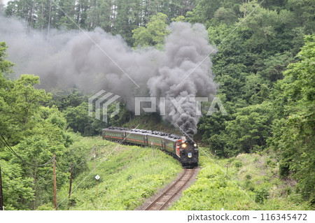 C11蒸汽機車的回憶 C11蒸汽機車的回憶 116345472