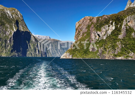 Landscape in New Zealand Fiordland, Milford Sound Landscape in New Zealand Fiordland, Milford Sound 116345532