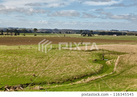 Agricultural landscape with clouds and grassland pasture 116345545
