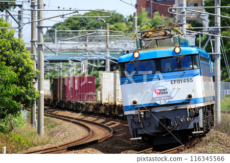 JR Freight EF81 electric locomotive (450 series, with headmark for road safety campaign) 116345566