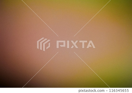 Color gradient grainy Abstract background, noise texture effect 116345655