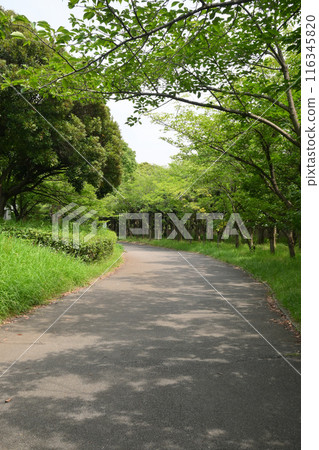 Chiba Port Park in Spring Chiba Port Park in Spring 116345820