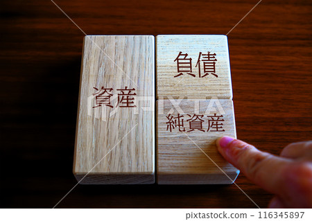 Balance sheet Net assets 116345897