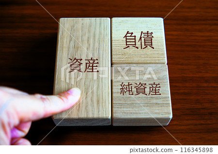 Balance Sheet Assets 116345898