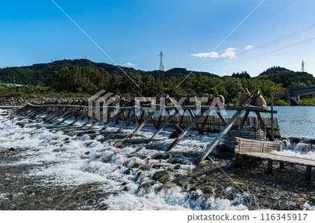 Ayu fishing hole, a seasonal feature of autumn Ayu fishing hole, a seasonal feature of autumn 116345917