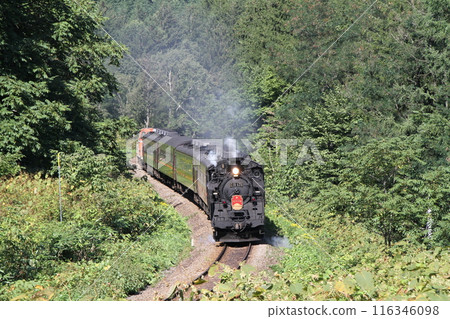 C11蒸汽機車的回憶 116346098