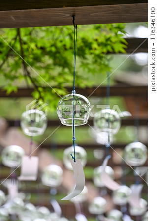 Wind chimes at Kamigamo Shrine 116346100