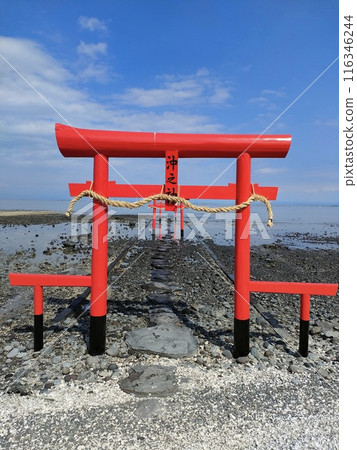 [Saga, Tara] The underwater torii gates of Ooguo Shrine 116346244