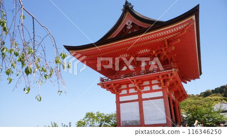 The Niomon Gate shines in the blue sky The Niomon Gate shines in the blue sky 116346250