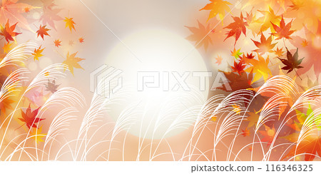 Moon viewing 15th night autumn background 116346325