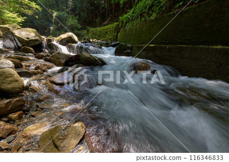 [Aragusuku] A mountain stream flowing through rocky areas 116346833