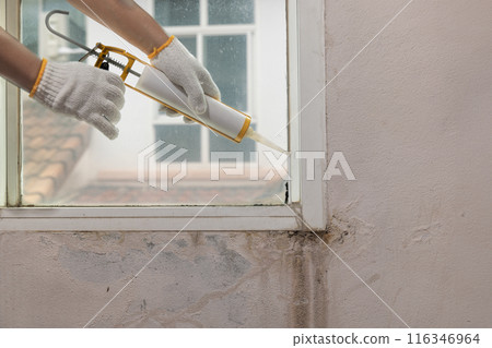 Construction worker using silicone sealant caulk for repair leaked inside window frame. 116346964