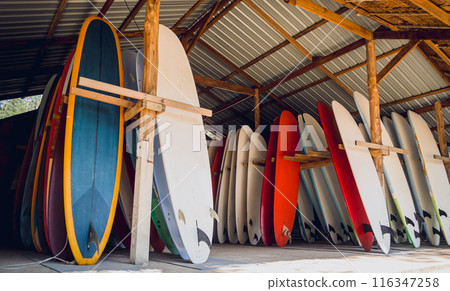 A variety of surfboards are neatly displayed on a stand 116347258