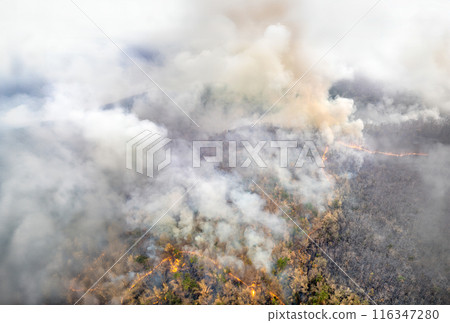 Greenhouse Gas Release from Tropical Forest Fires Greenhouse Gas Release from Tropical Forest Fires 116347280