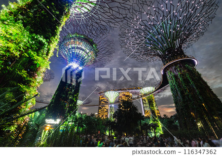 Singapore: Gardens by the Bay at dusk 116347362
