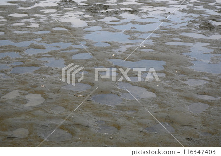 Tideland Tideland 116347403